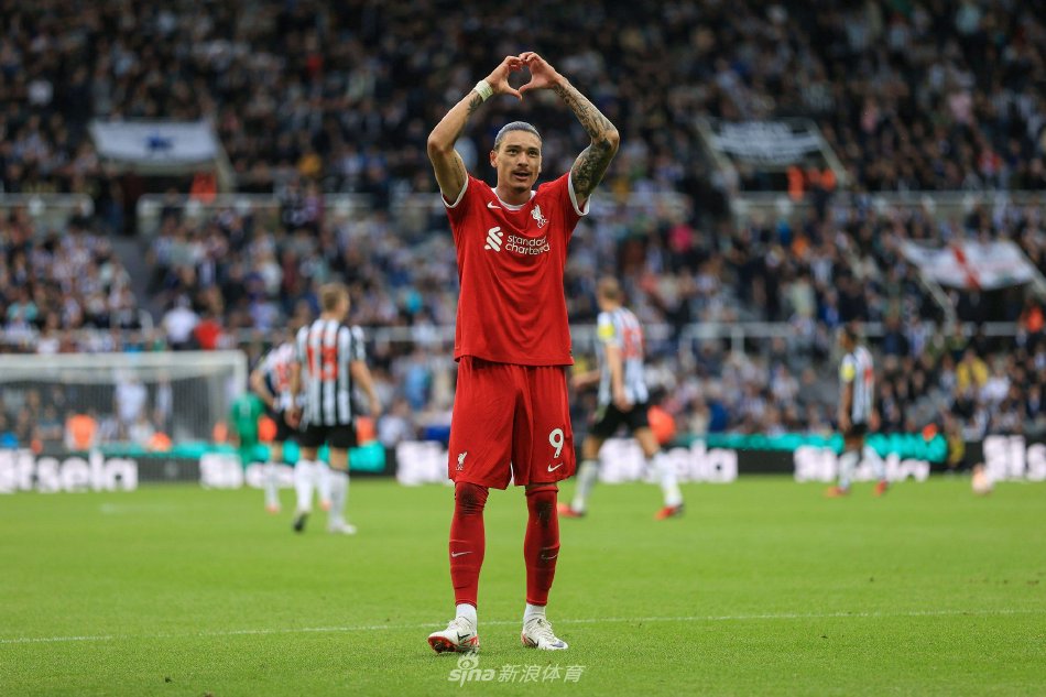 极大增加了 极大增加了